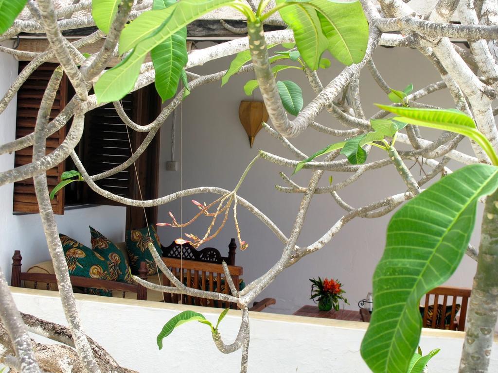 Peponi Hotel Shela 객실 사진